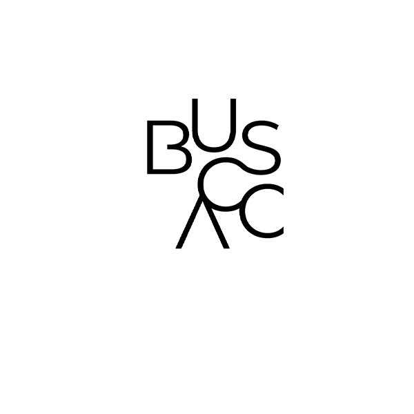 Bus Acc